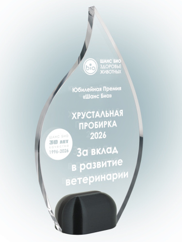 Награда из акрила – PS2064c