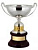 Кубки престижные